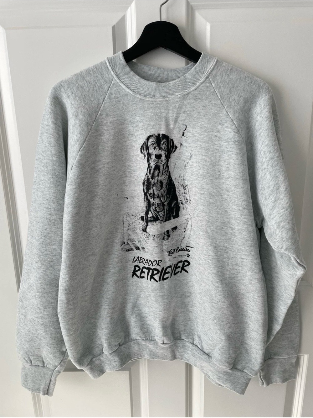 Vintage Dog Labrador Retriever Crewneck Sweatshirt Size XL Gray Fruit The Loom